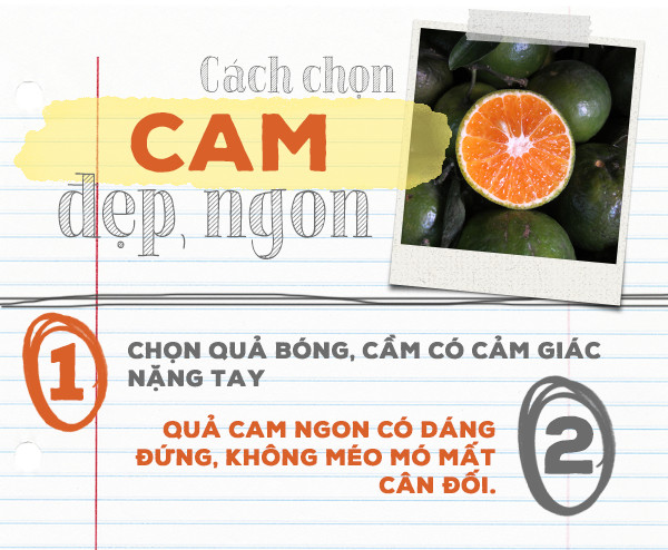 Layout and meaning of five fruits tray in three regions Picture 13