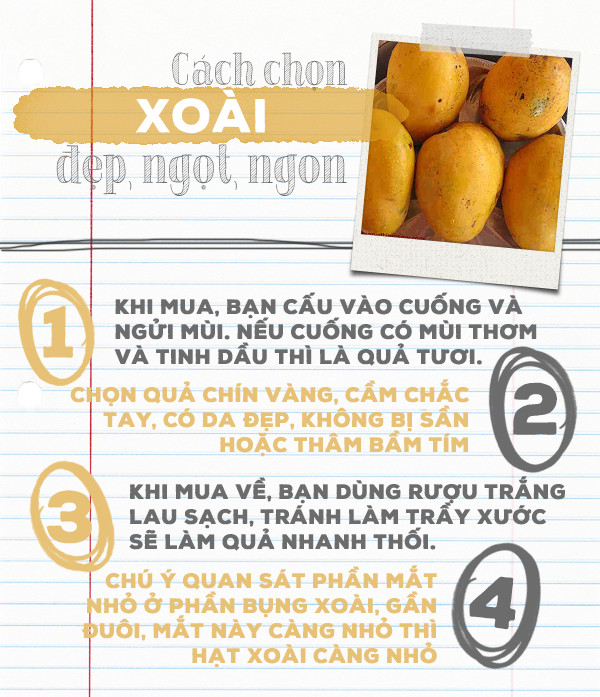 Layout and meaning of five fruits tray in three regions Picture 16
