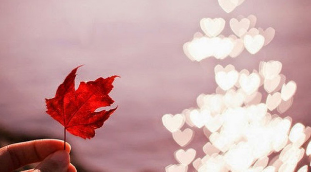 Laziness is like a poison apple, the medicine slowly loses its thinking and limbs becomes useless: don't fix it, don't 'dream big'! Picture 1