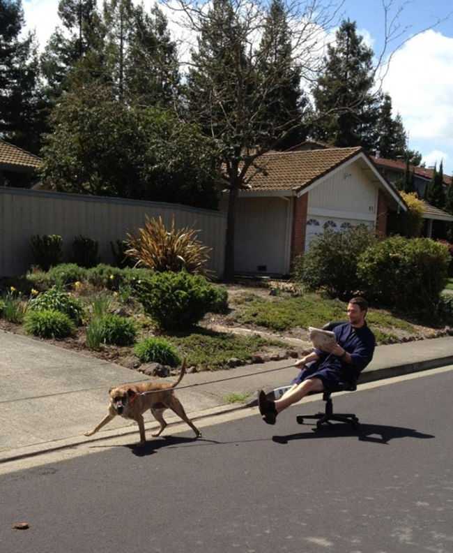 Lazy people are not always useless Picture 16