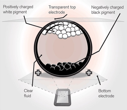 Learn about Kindle Paperwhite book reader Picture 3