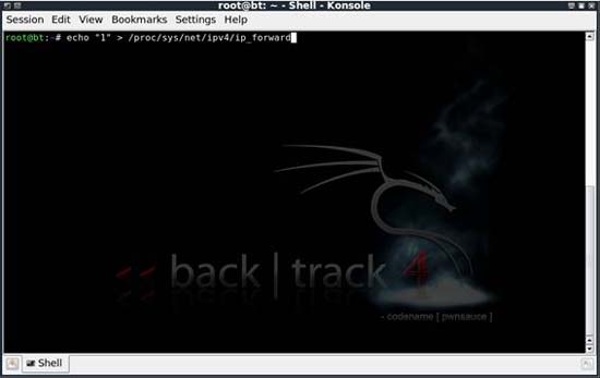 Learn about Man-in-the-Middle attacks - Obtain SSL control Picture 6