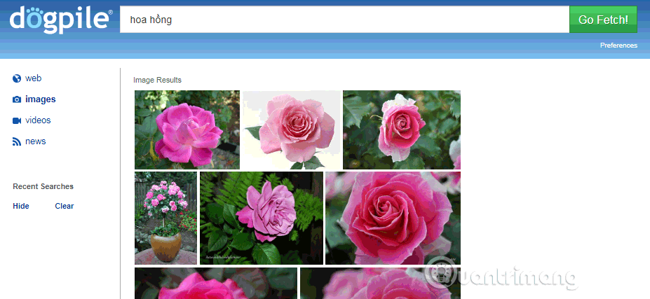 Learn about the Dogpile search engine Picture 2