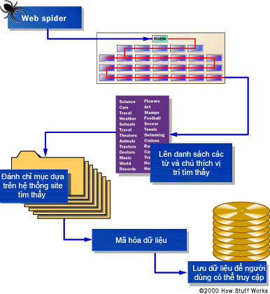 Learn about the operation of search engines Picture 1
