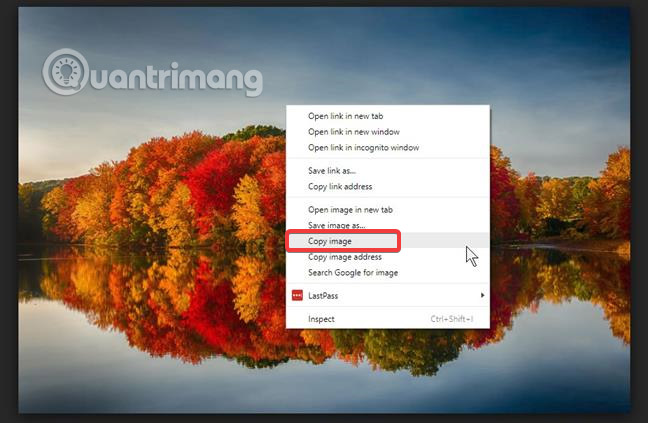 Learn how to use Paint to edit photos on Windows Picture 17