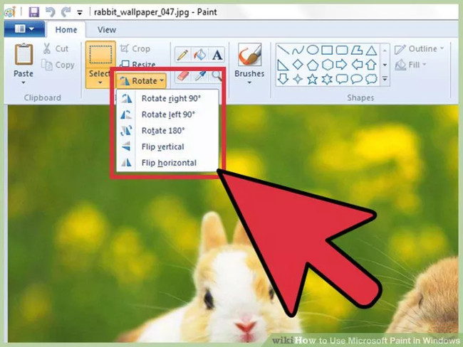 Learn how to use Paint to edit photos on Windows Picture 25