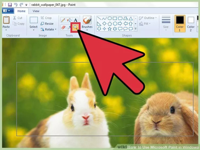 Learn how to use Paint to edit photos on Windows Picture 26