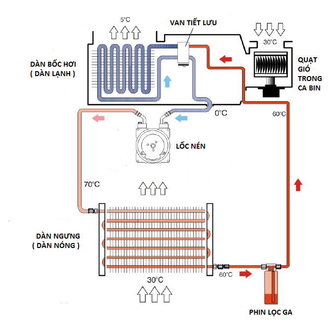 Learn the structure and principles of operation of the refrigerator Picture 1