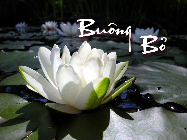 Let go of these 10 things you will get more than you lose Picture 3