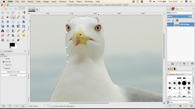 Let your photos 'shine' with GIMP's background change feature Picture 12