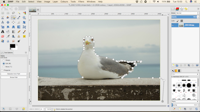 Let your photos 'shine' with GIMP's background change feature Picture 13