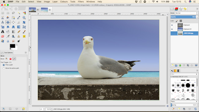 Let your photos 'shine' with GIMP's background change feature Picture 15