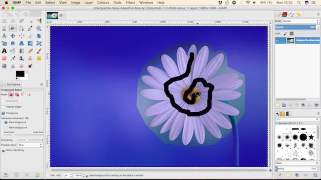 Let your photos 'shine' with GIMP's background change feature Picture 4