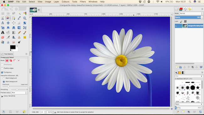 Let your photos 'shine' with GIMP's background change feature Picture 5