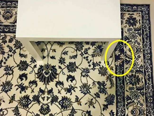 Let's test your eyes with 18 photos below! Picture 13