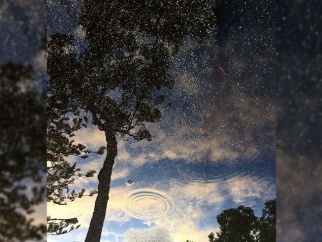 Let's test your eyes with 18 photos below! Picture 14