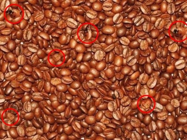 Let's test your eyes with 18 photos below! Picture 17