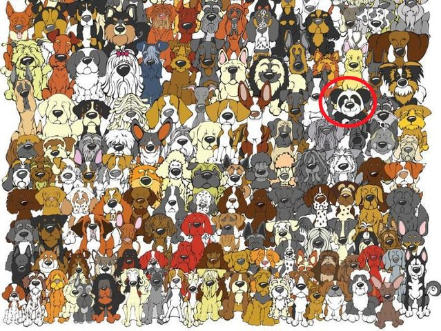 Let's train the eye with the 'brain damage' puzzle pictures below! Picture 17