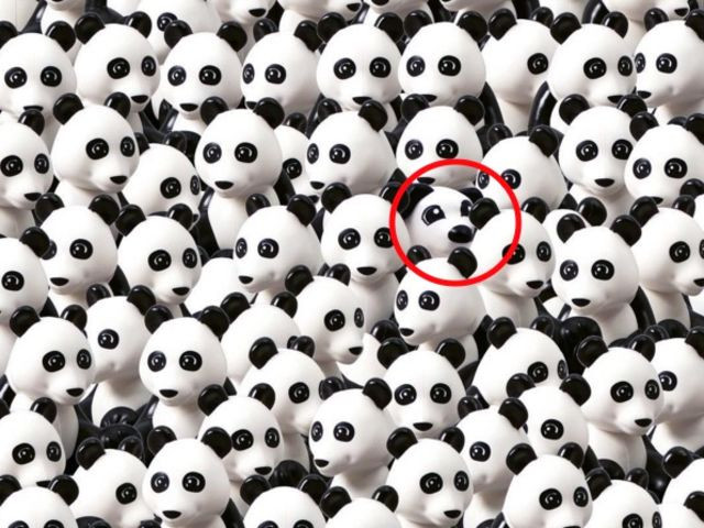 Let's train the eye with the 'brain damage' puzzle pictures below! Picture 19