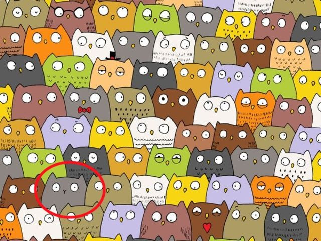 Let's train the eye with the 'brain damage' puzzle pictures below! Picture 21