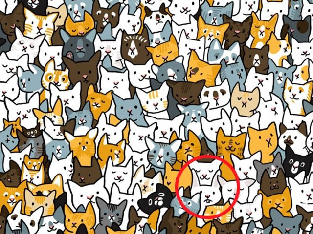 Let's train the eye with the 'brain damage' puzzle pictures below! Picture 29