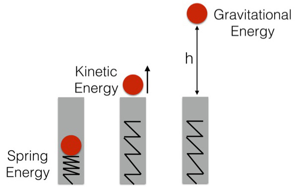 Li explained the law of conserving energy with just one coin Picture 3