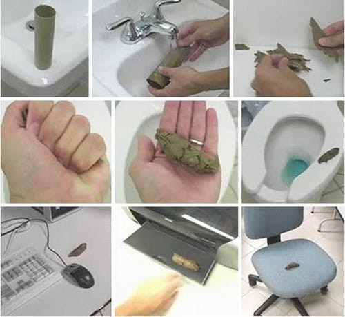 Lie, joke April Fool's Day for April 1 adds fun (Part 1) Picture 5