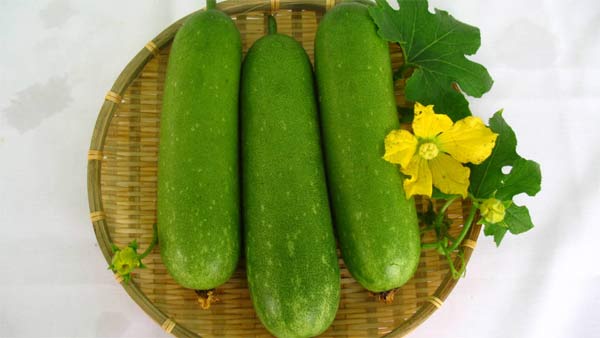 List of good fruits and vegetables for gout patients Picture 5