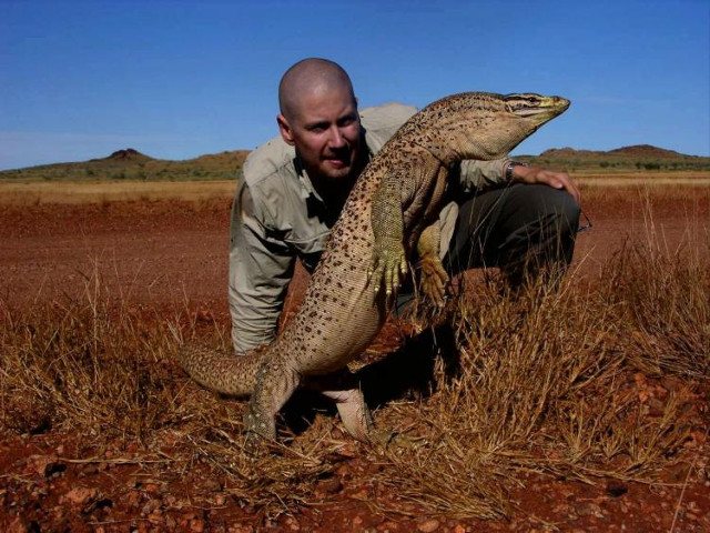 Lizard venom can bring breakthroughs in coagulation treatment Picture 1