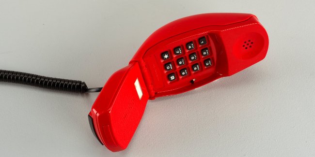 Look back at the 9 photos of 'ducking swans' of the phone after 80 years Picture 4