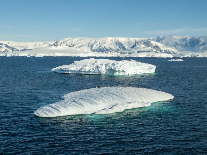 Look for evidence of climate change in Antarctica with an iPhone Picture 2