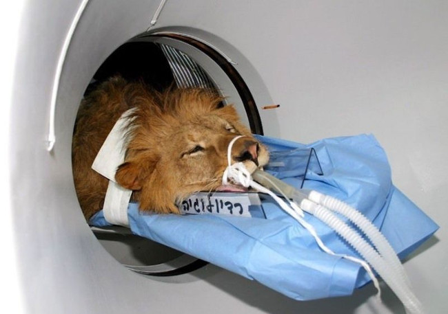 Looking at the 12 marvels of the image has given the world 'cheats' in the past year Picture 12