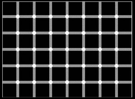 Looking at these photos, you will no longer believe your eyes! Picture 10