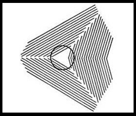 Looking at these photos, you will no longer believe your eyes! Picture 7