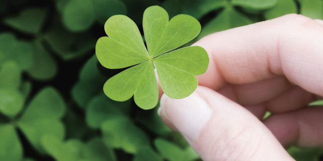 Luckily indeed exists, 4 tips attract luck according to the advice of scientists! Picture 5