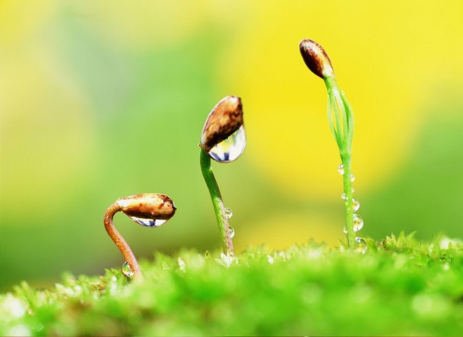 Luckily, it was not accidental, but due to the practice Picture 3