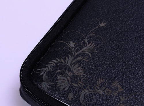 MacBook 13 'Codex bag from Moshi Picture 5