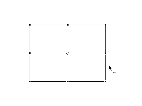 Macromedia Flash - An attractive photo appearance effect Picture 7
