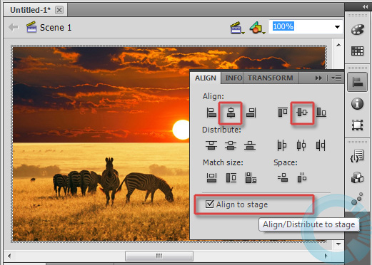 Macromedia Flash: Create effects for nature photos Picture 4