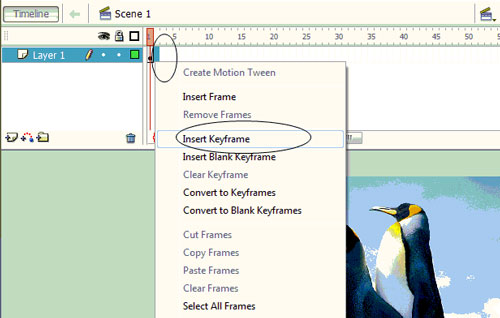 Macromedia Flash - Effect of 'oil spill' Picture 4