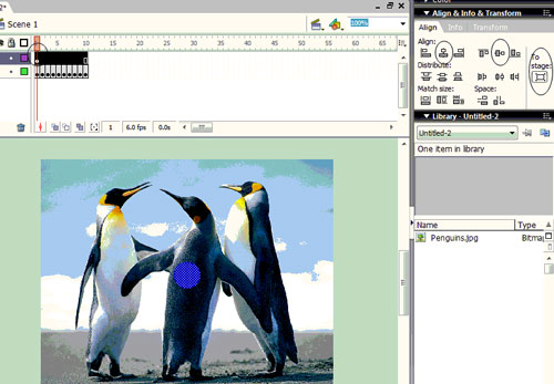 Macromedia Flash - Effect of 'oil spill' Picture 8