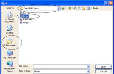 Macromedia Flash - Strange planet Picture 3