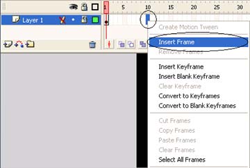 Macromedia Flash - The egg breaks Picture 5