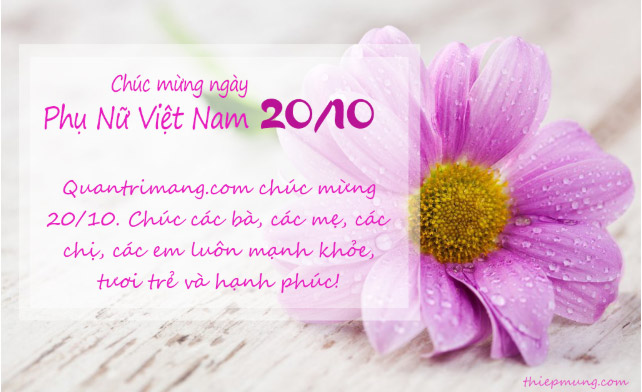 Make a greeting card for Vietnamese women on October 20 online Picture 5
