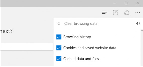 Manage and delete browsing data on Microsoft Edge Picture 3