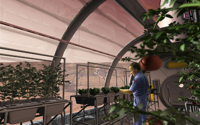 'Mars Garden - Martian Gardens' helps scientists find ways to grow vegetables on Mars Picture 2