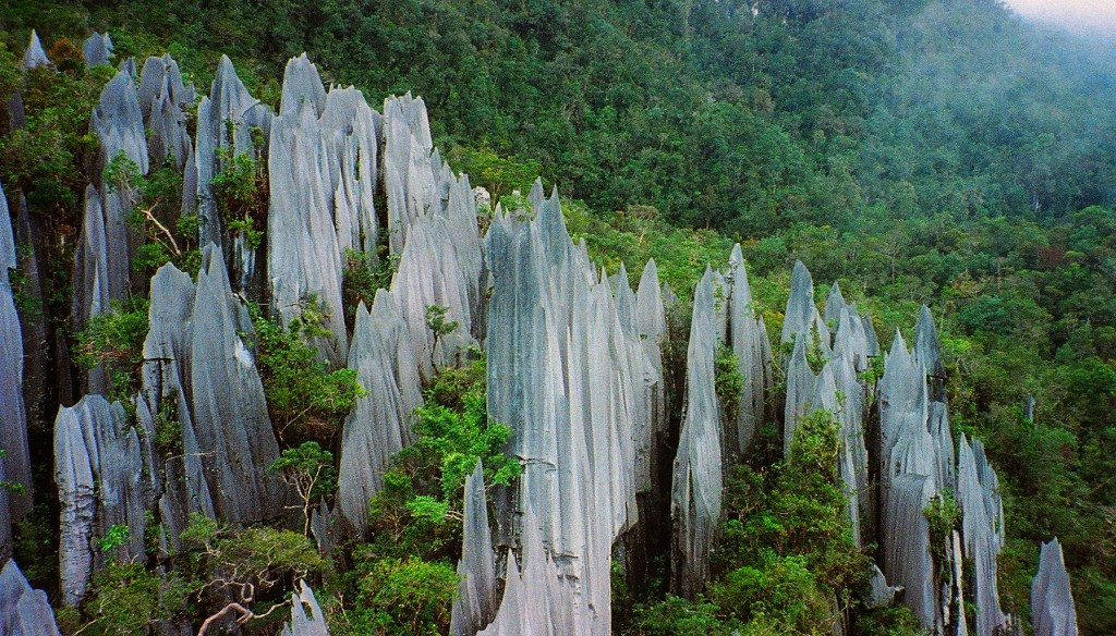 Marvel at 12 picturesque nature pictures Picture 4
