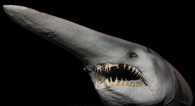 Marvel at animals with superhuman abilities that look exactly like Pokemon Picture 8