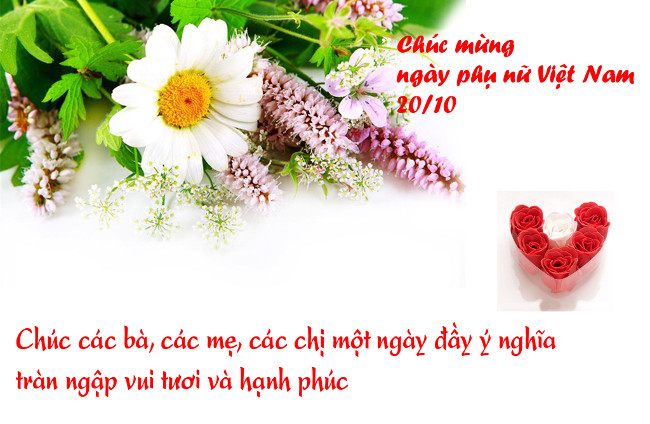 Meaningful 20/10 wishes for women to celebrate Vietnamese Women's Day ...