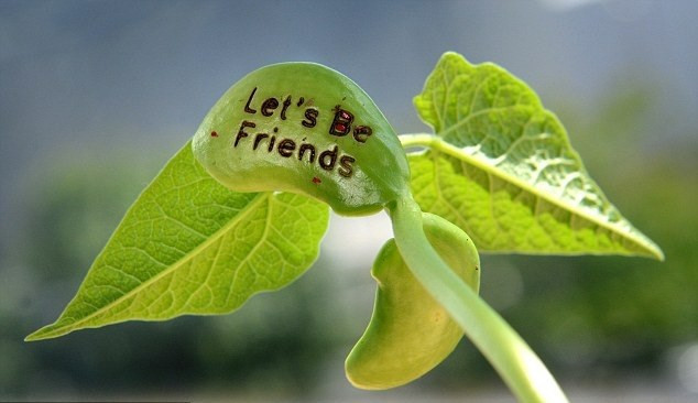 Meaningful birthday gifts for friends less than 100k Picture 8